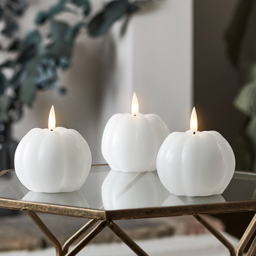 Our Autumn Exclusives