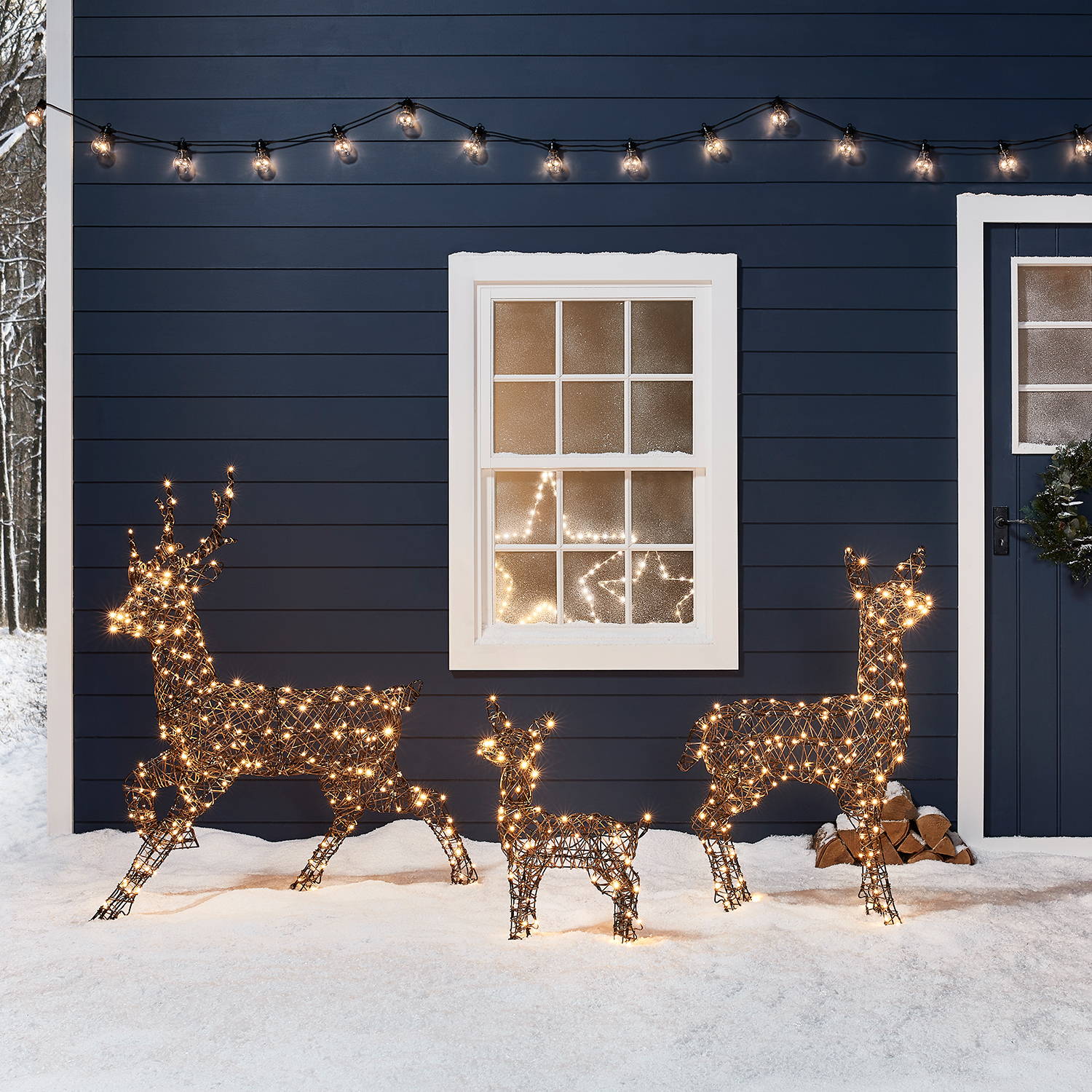 A Magical Reindeer Adventure