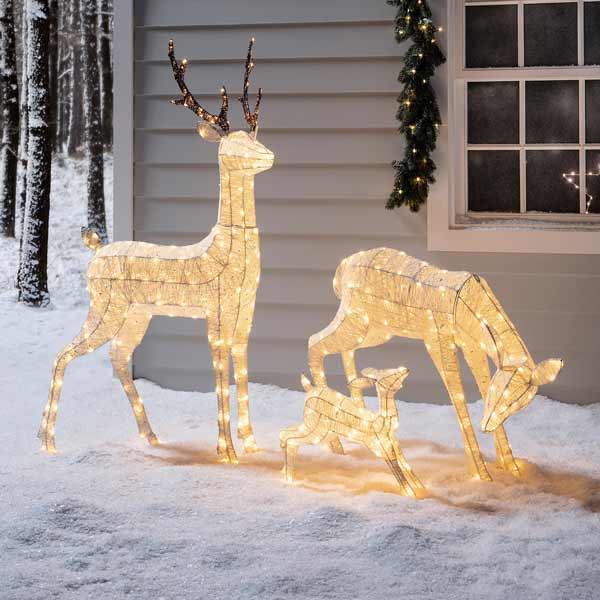 Your Christmas Garden