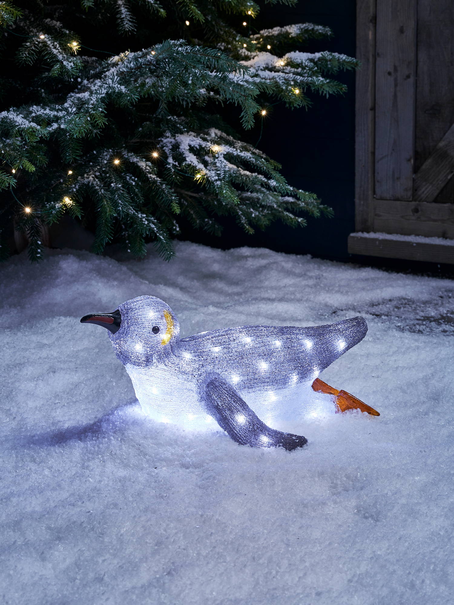 Achieve The Ultimate Festive Garden Look