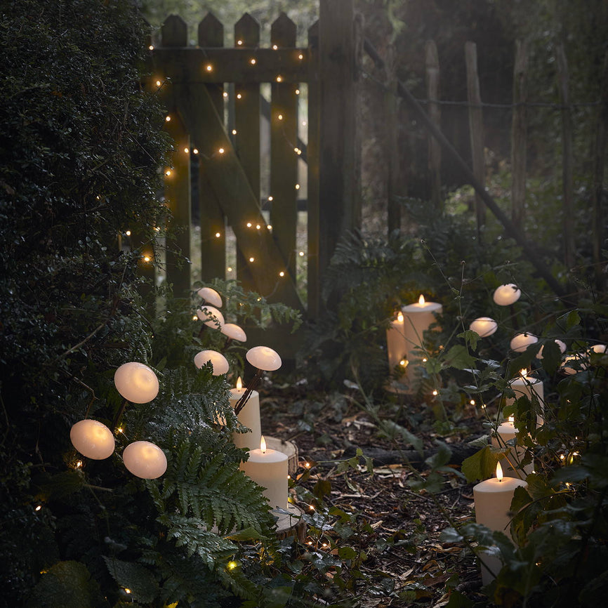 The Secret Garden: Fairycore Trend