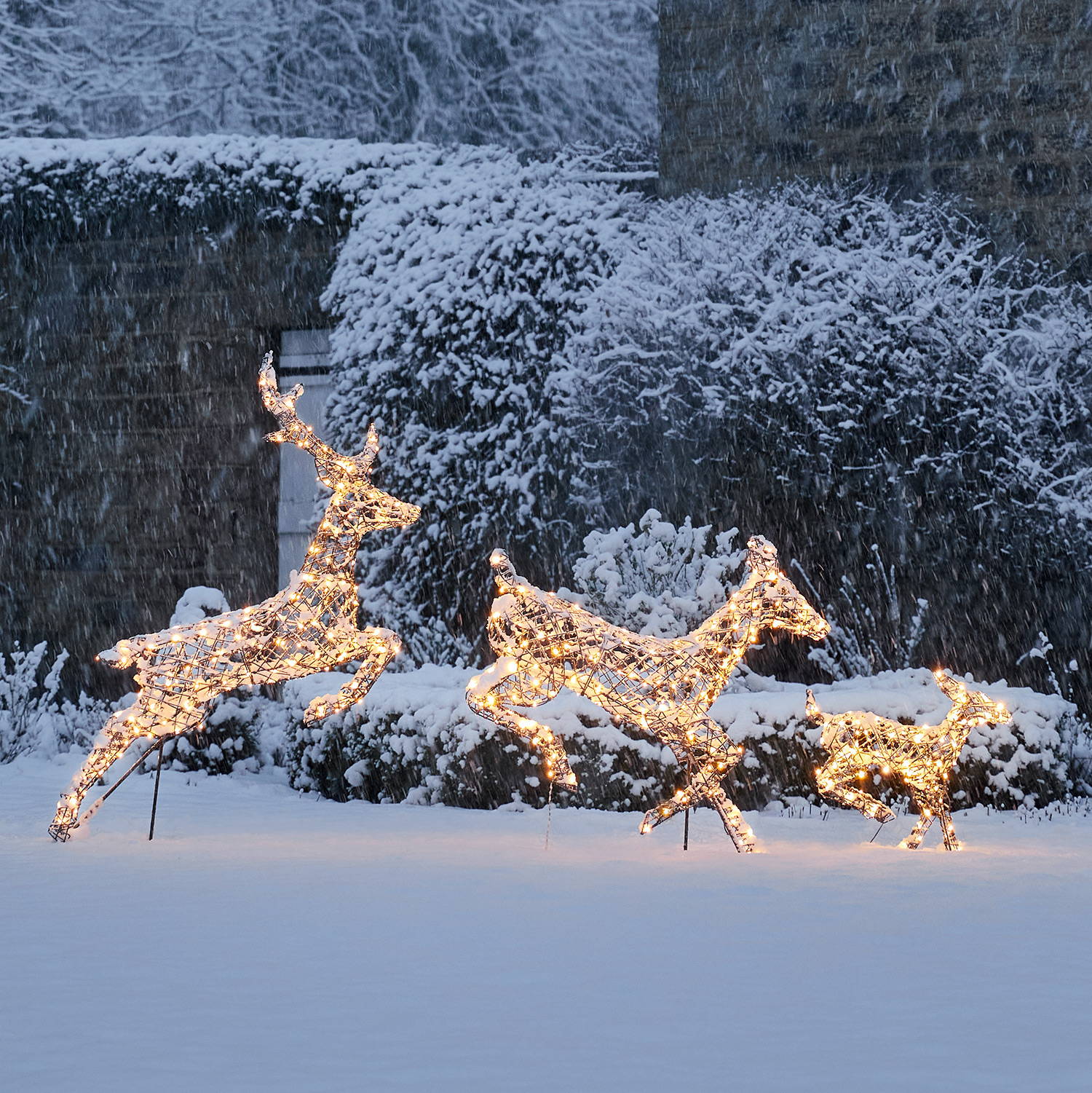 Exclusive Reindeer Collection