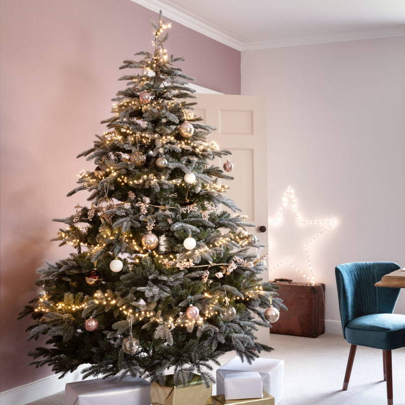 Your Perfect Christmas Tree