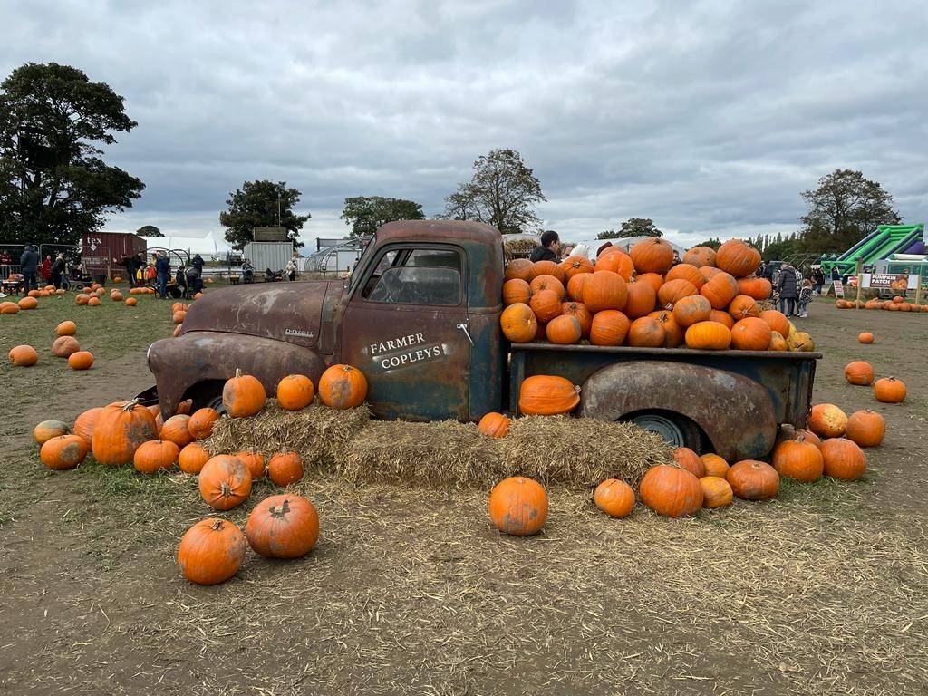 Family Autumn Activities