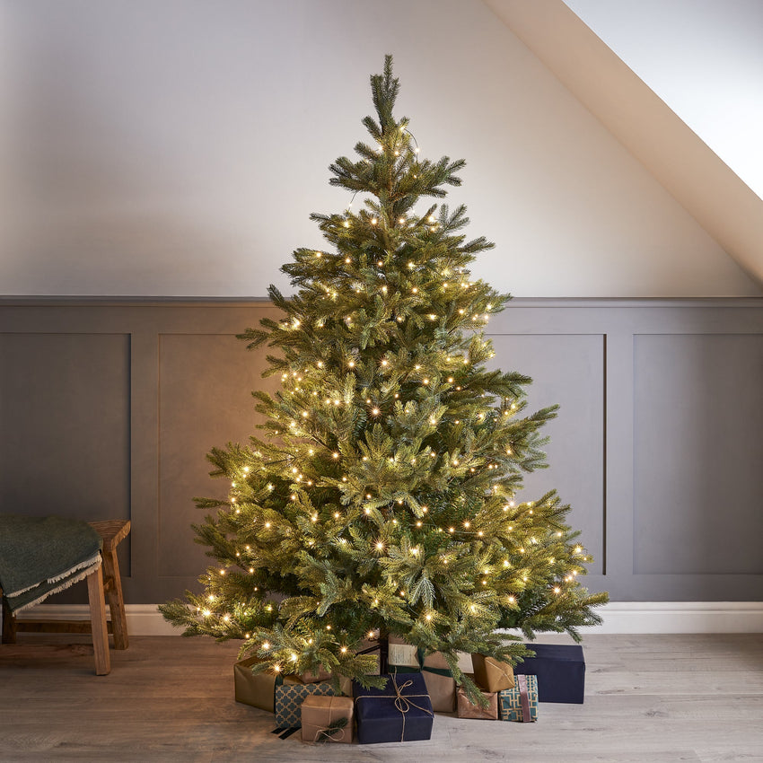 Christmas Tree Illuminated