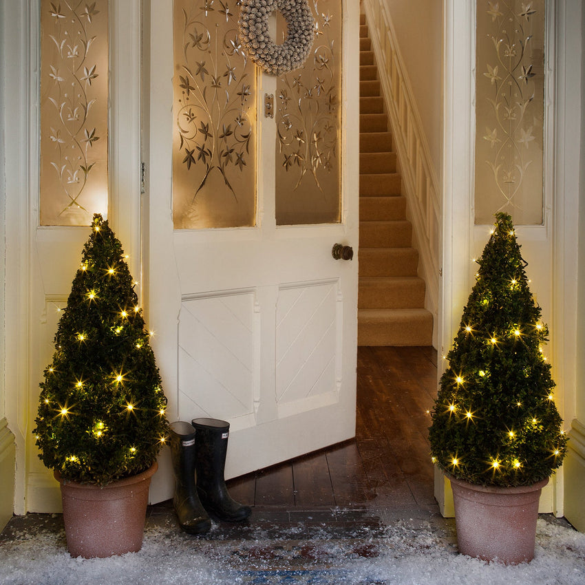 Fairy Lights Illuminated Shrub