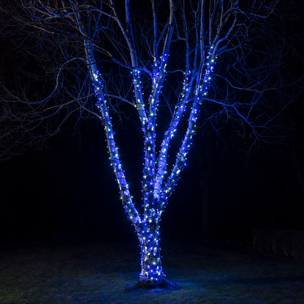 Blue Outdoor Lights