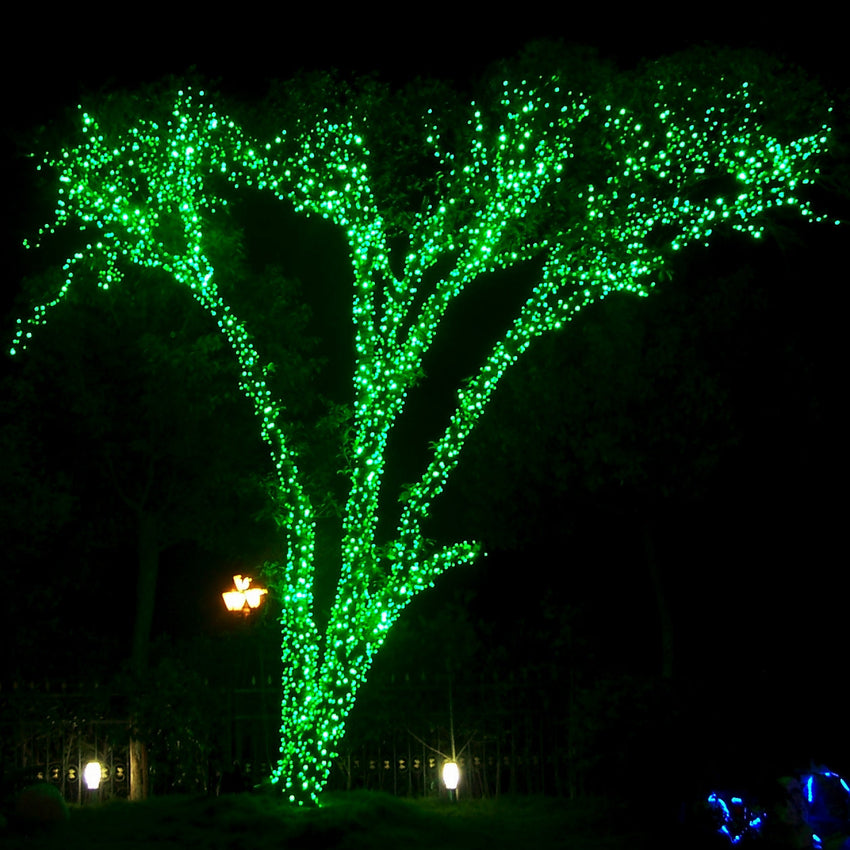 Pro connect string lights in green wrapped around an outdoor tree