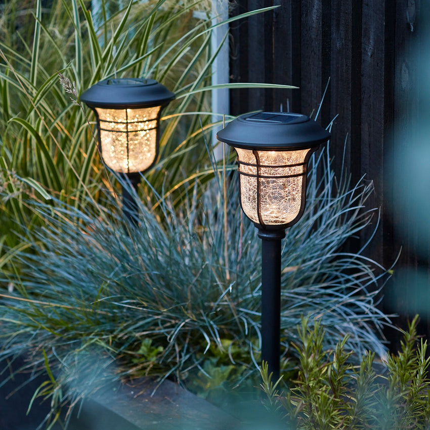 Garden stake lights in plant