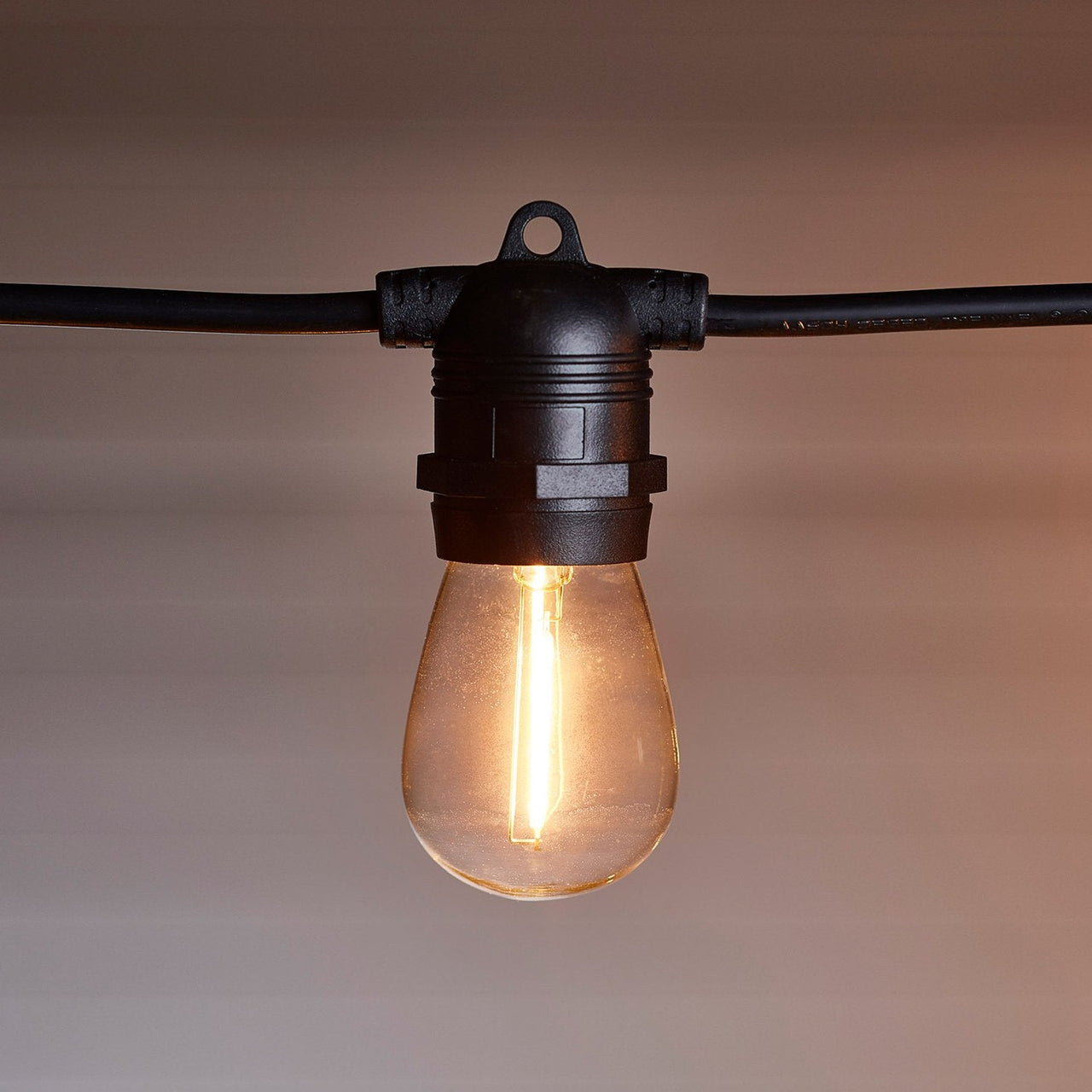 BL19001_Mains-Voltage-Belt-Light-with-Bulbs-Close_P2_0448f01f-a201-4eb1-b118-1c0fdf44b0c2.jpg