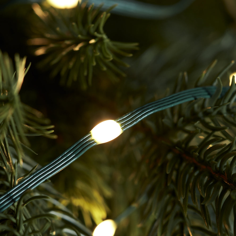 100 Warm White Outdoor Micro Fairy Lights Green Cable