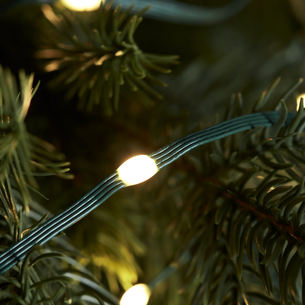 100 Warm White Outdoor Micro Fairy Lights Green Cable
