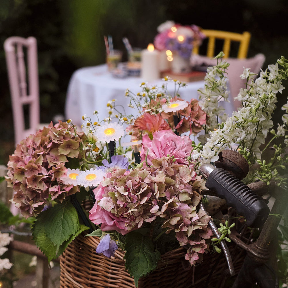 C20-DAISY_20-daisy-outdoor-micro-fairy-light-tea-party.jpg