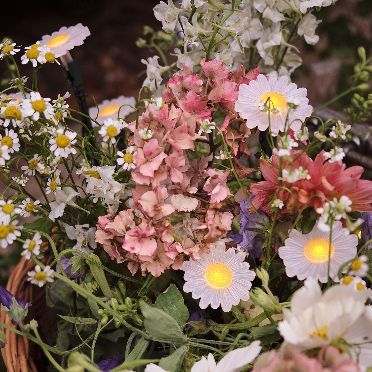 C20-DAISY_20-daisy-outdoor-micro-fairy-lights-flowerbed.jpg