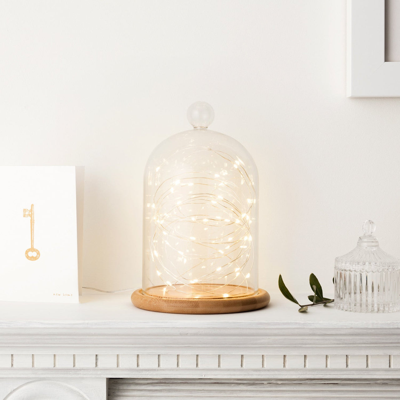 C50-YW_Warm-White-Battery-Micro-Lights-Wire-Lights-bell-jar_P3.jpg