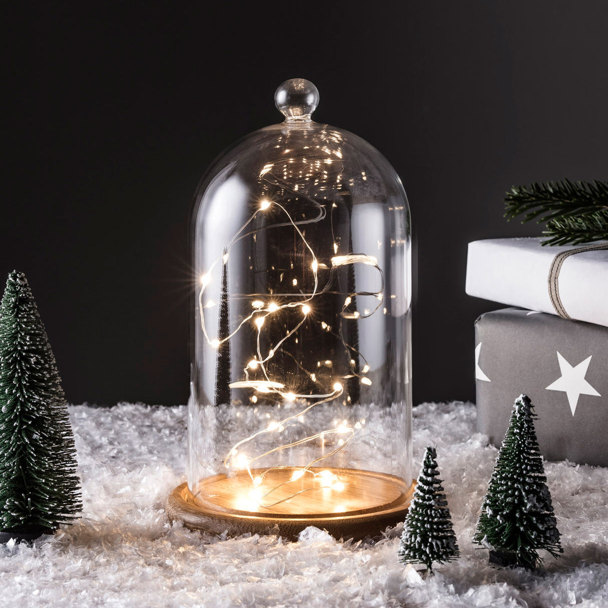 D-GDM15-1-C20-YW_Bell-jar-glass-dome-LED-micro-fairy-lights-snow_P1.jpg