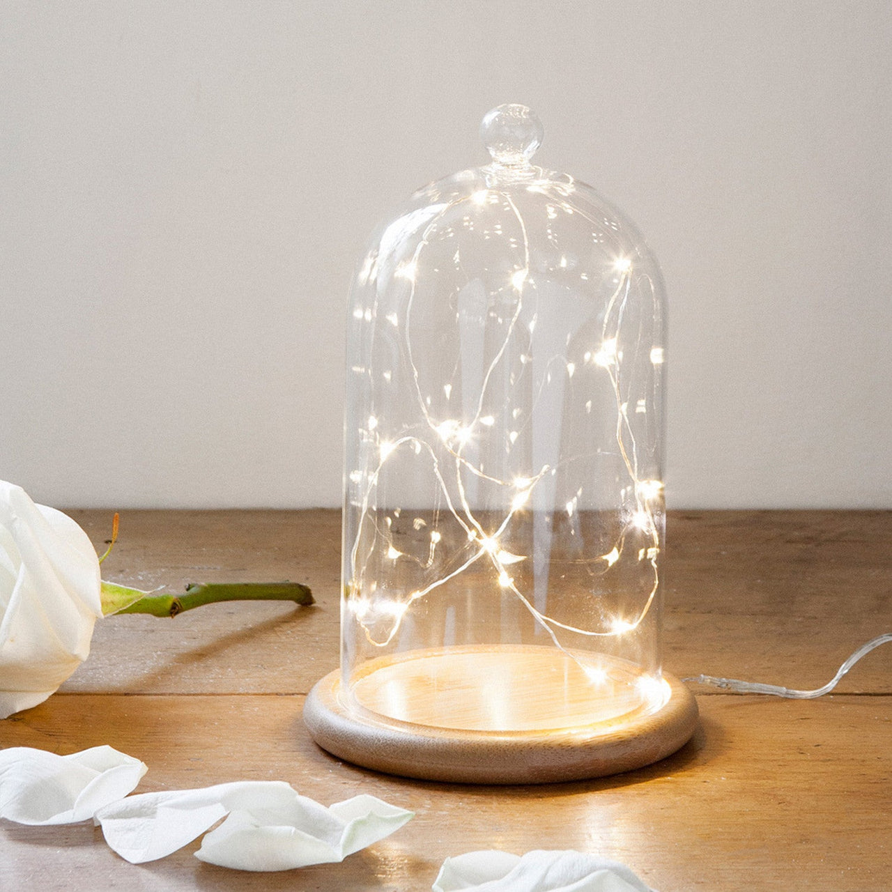 D-GDM15-1-C20-YW_Small-Glass-Dome-With-Fairy-Lights-Inside-Table-Decoration_P1.jpg
