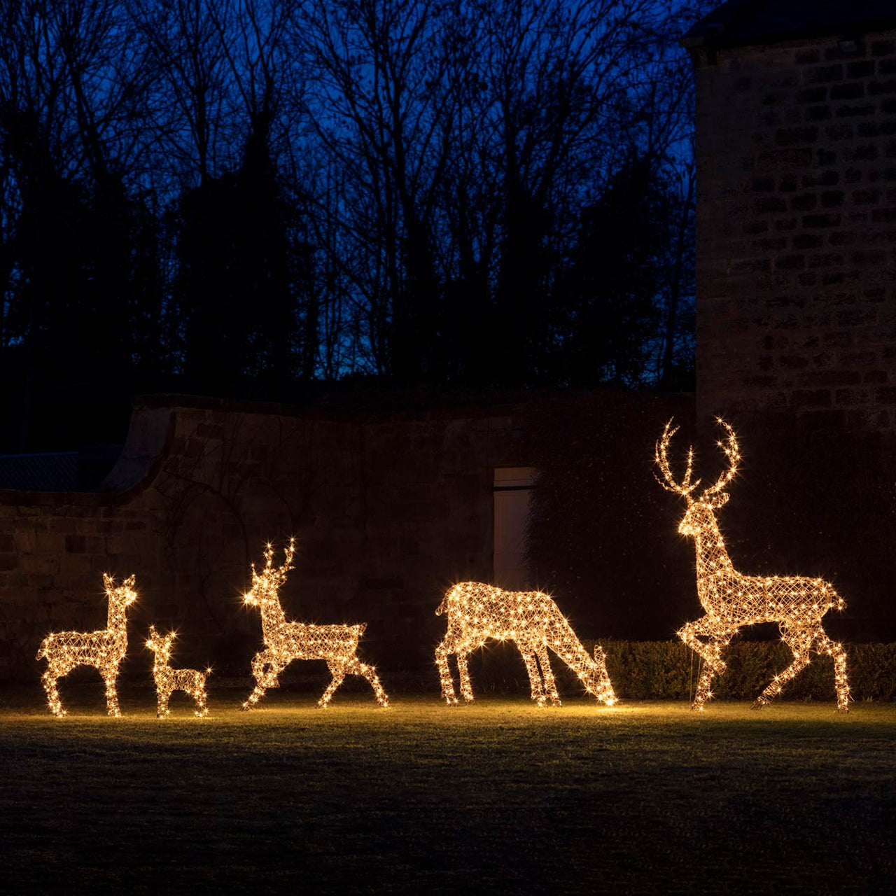 Set of 5 Studley Rattan Light Up Reindeer 24v