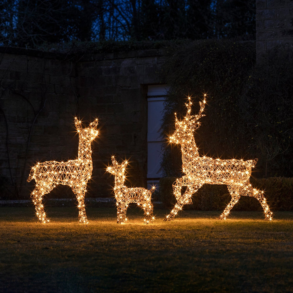 Studley Rattan Light Up Reindeer Family 24v