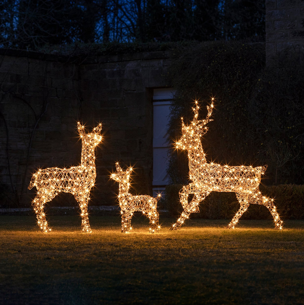 Studley Rattan Light Up Reindeer Family 24v