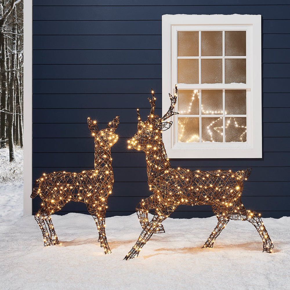 Studley Rattan Stag & Doe Light Up Reindeer Duo 24v