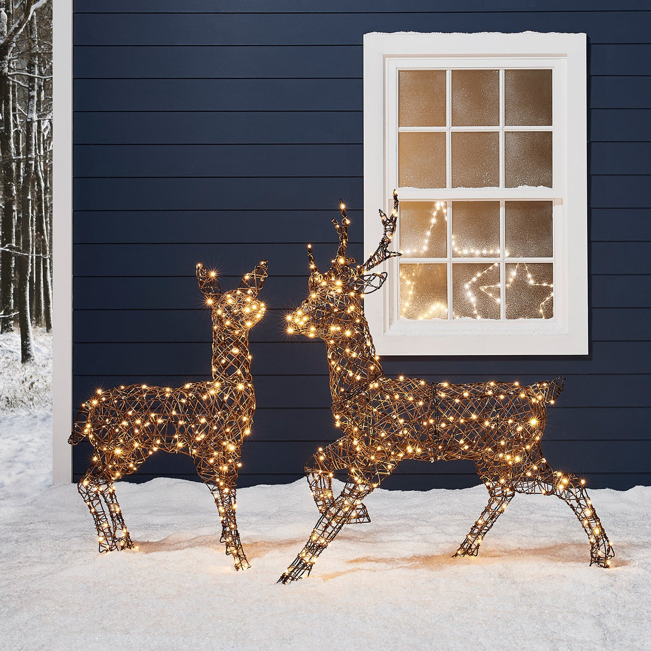Studley Rattan Stag & Doe Light Up Reindeer Duo 24v