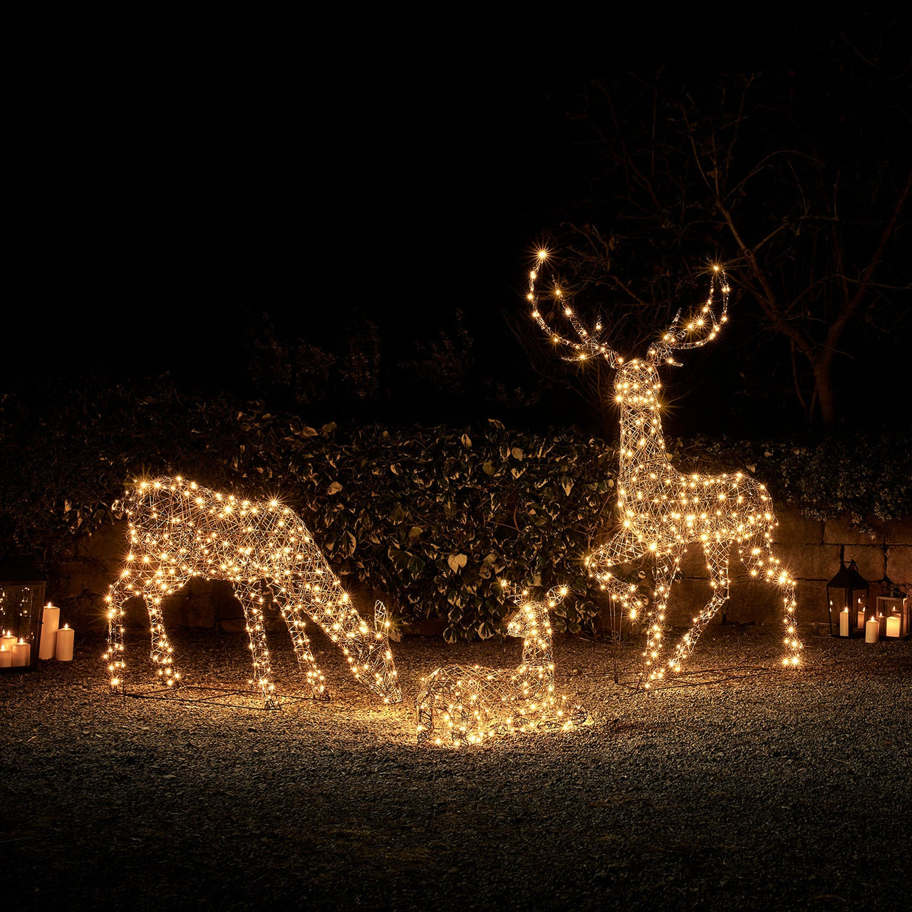 Large Studley Rattan Light Up Reindeer Family 24v