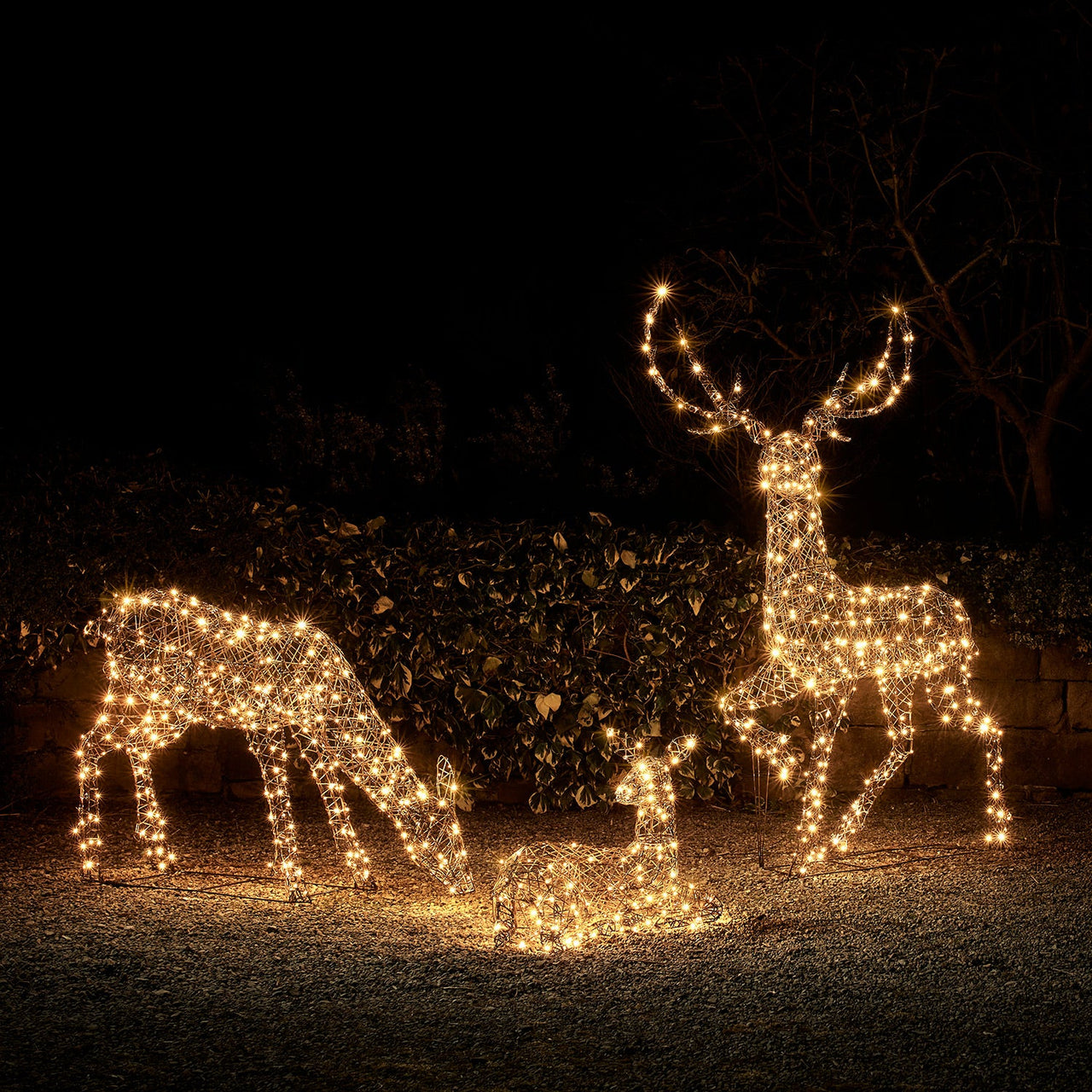 Large Studley Rattan Light Up Reindeer Family 24v