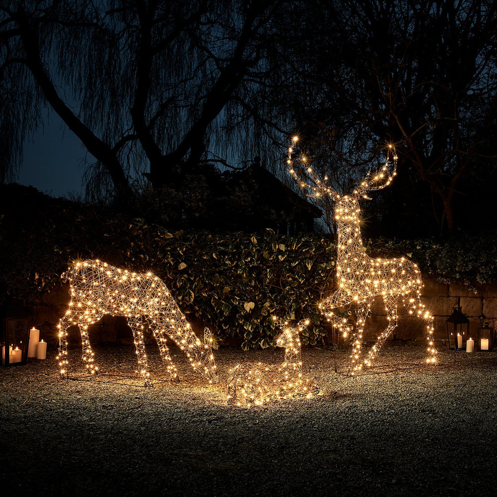 Large Studley Rattan Light Up Reindeer Family 24v