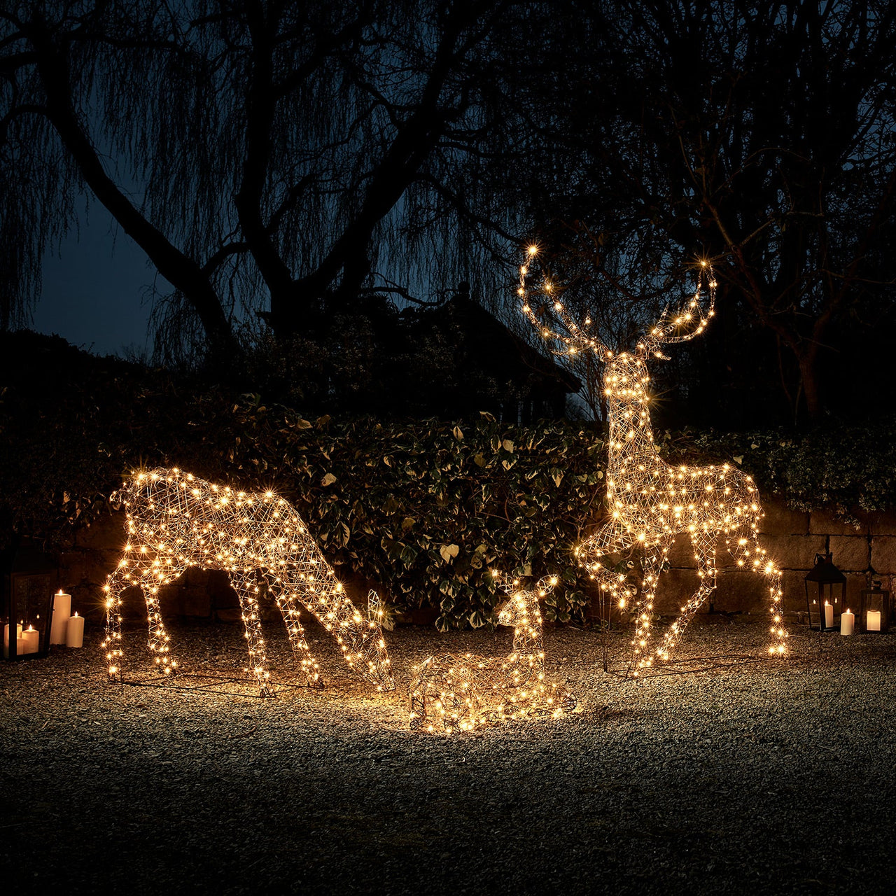 Large Studley Rattan Light Up Reindeer Family 24v