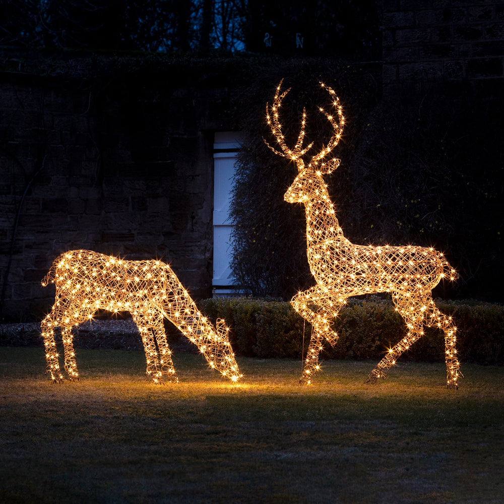 Large Studley Rattan Stag & Doe Light Up Reindeer 24v
