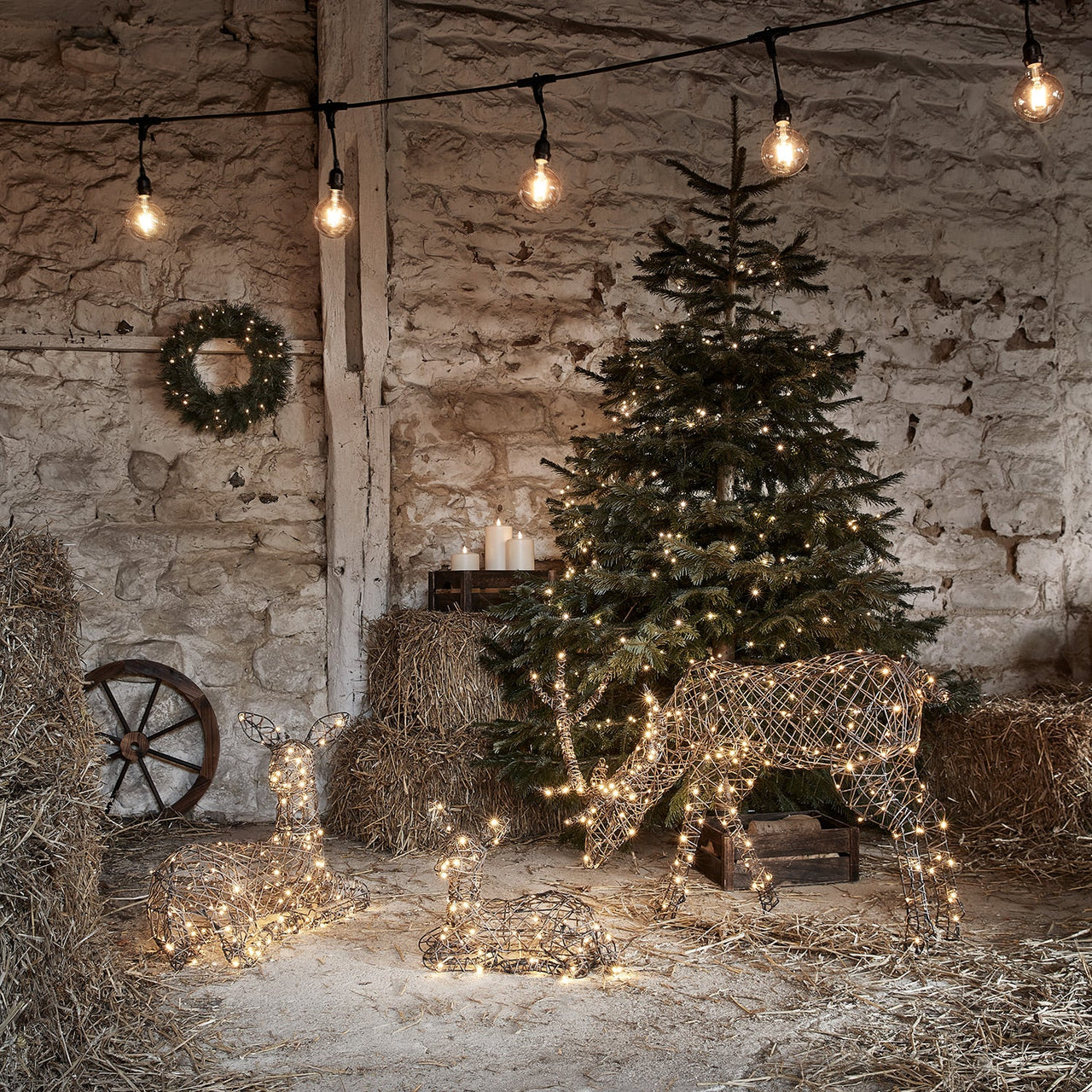 Studley Rattan Resting Light Up Reindeer Family 24v