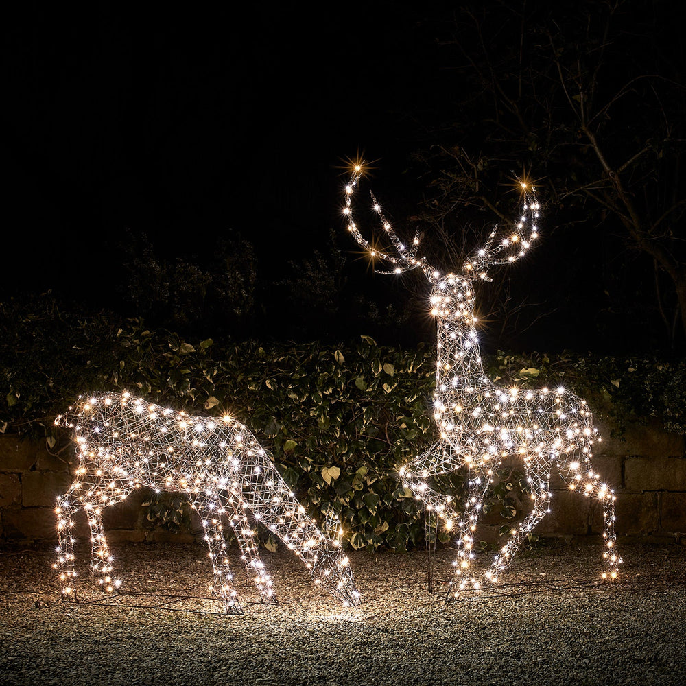 D-XX221112_Large-Studley-Rattan-Stag-_-Doe-3-in-1-Light-Up-Reindeer-Mixed.jpg