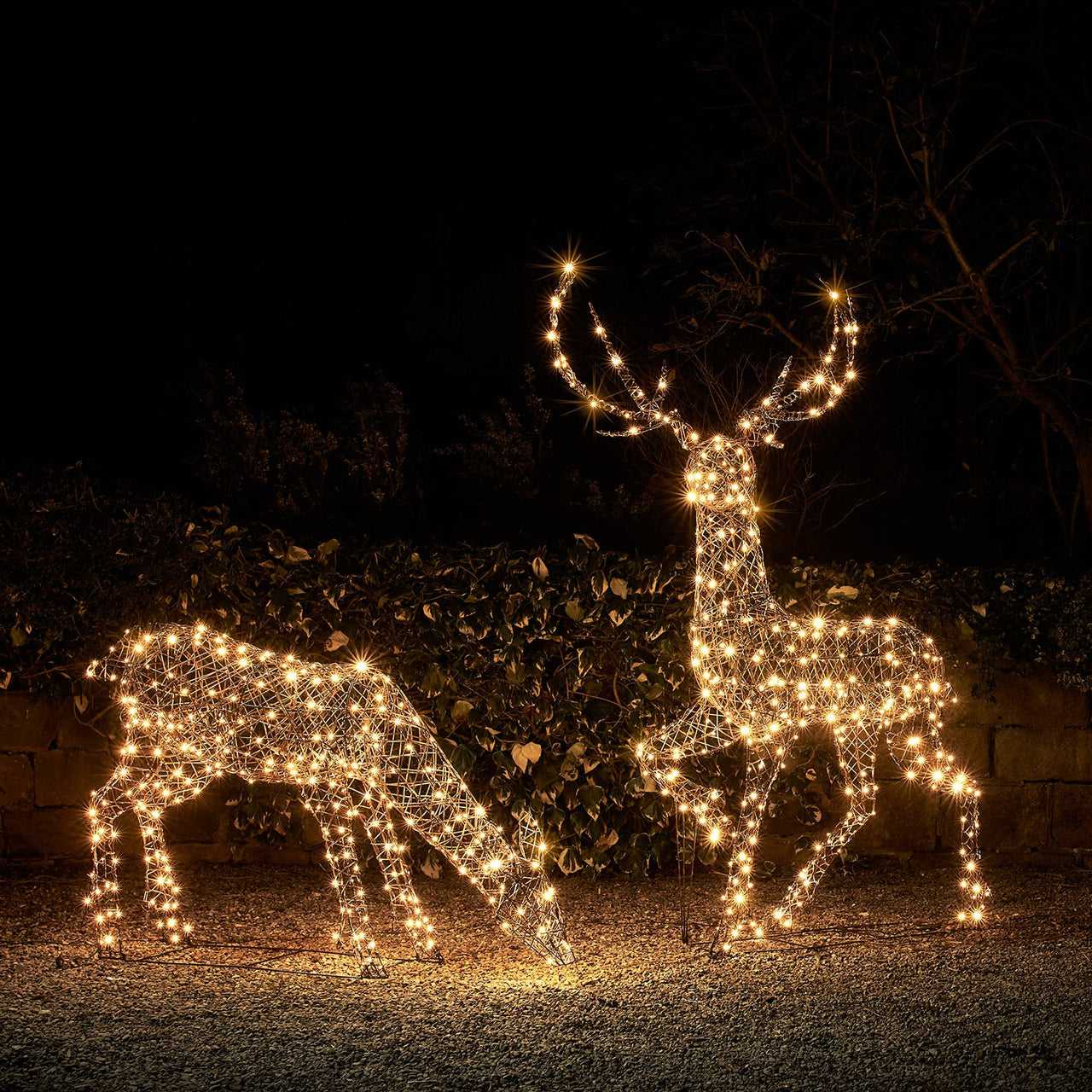 D-XX221112_Large-Studley-Rattan-Stag-_-Doe-3-in-1-Light-Up-Reindeer-Warm-White.jpg