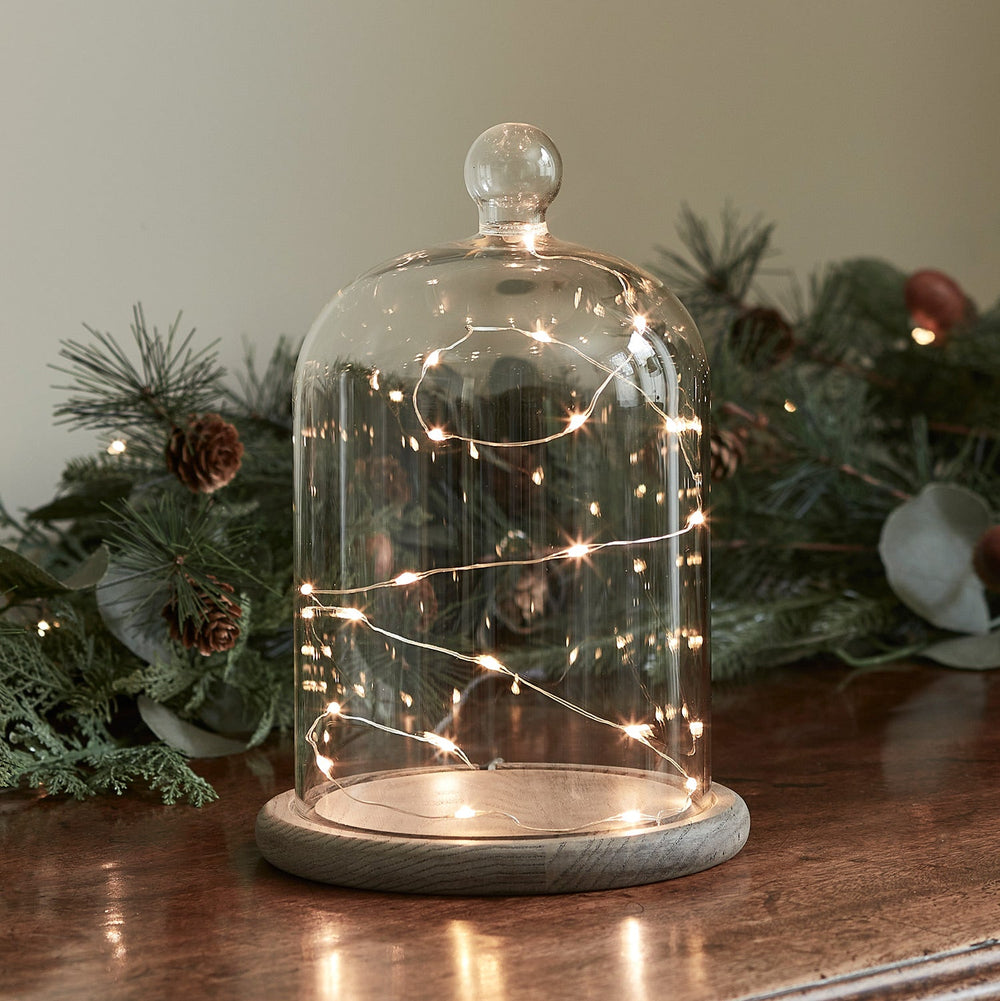 23cm Glass Dome Bell Jar Micro Fairy Light Bundle