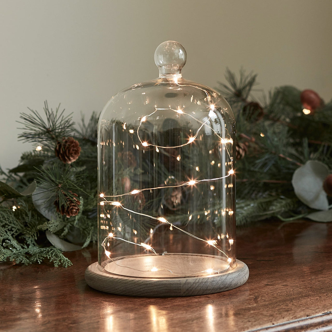 23cm Glass Dome Bell Jar Micro Fairy Light Bundle