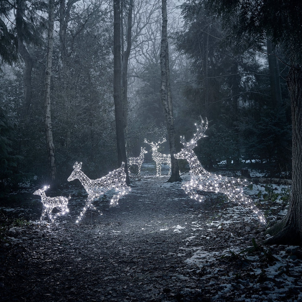 Set of 5 Harlow Rattan Dual Colour LED Light Up Reindeer Range