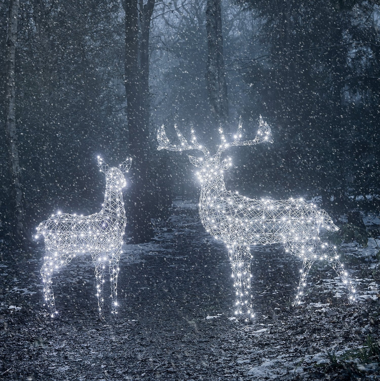 Large Harlow Rattan Stag Dual Colour LED Light Up Reindeer 24v