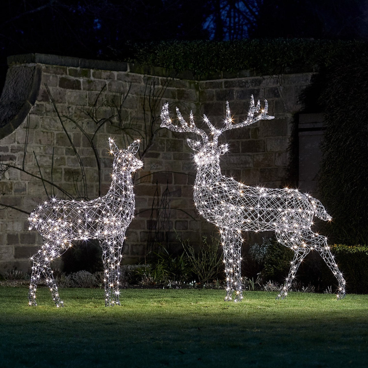 Large Harlow Rattan Stag Dual Colour LED Light Up Reindeer 24v