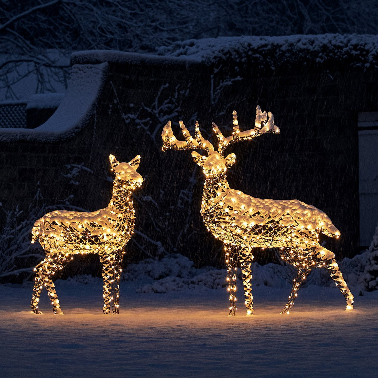 Large Harlow Rattan Stag Dual Colour LED Light Up Reindeer 24v