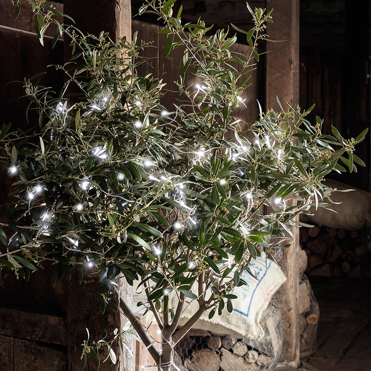 100 White LED Outdoor Battery Fairy Lights On Clear Cable