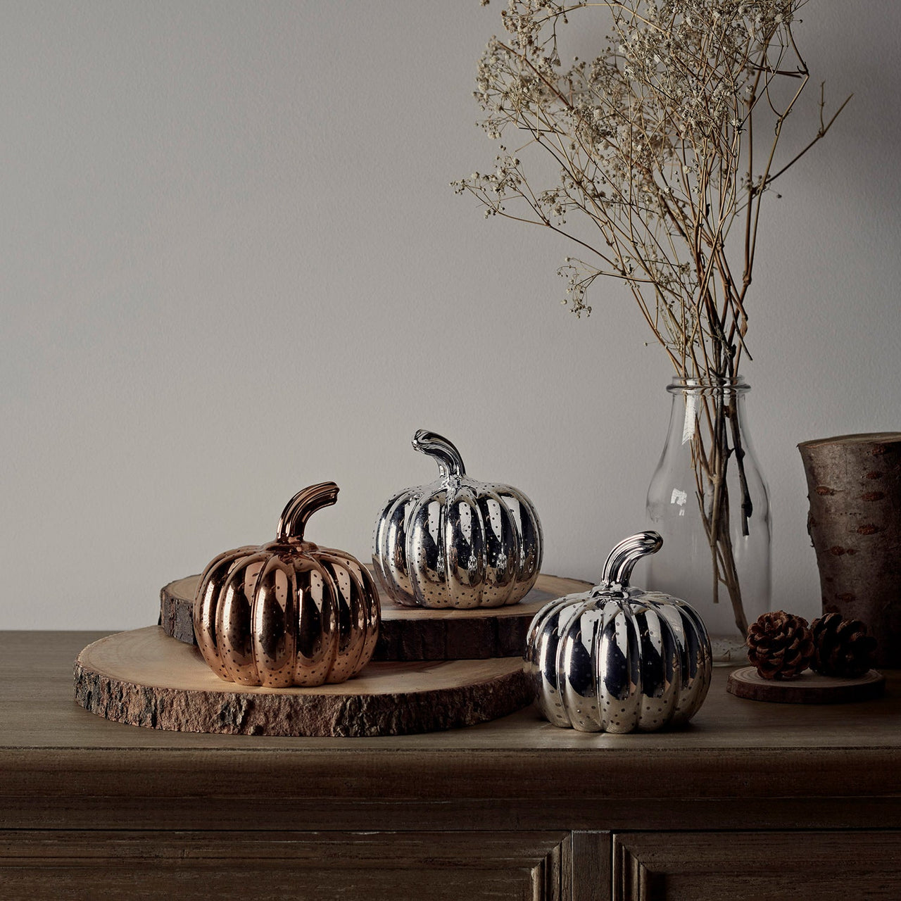 Mottled Mini Pumpkin Trio