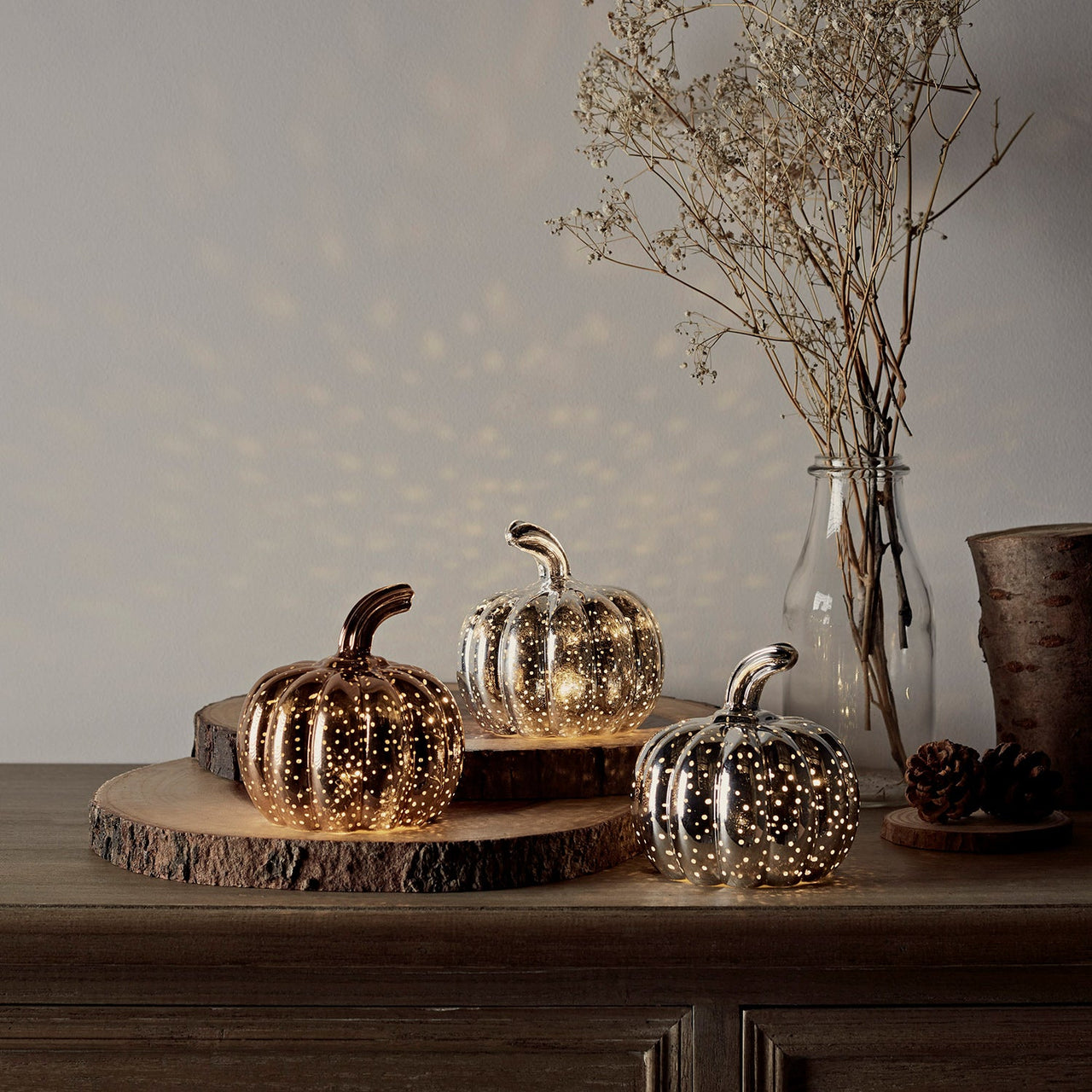Mottled Mini Pumpkin Trio