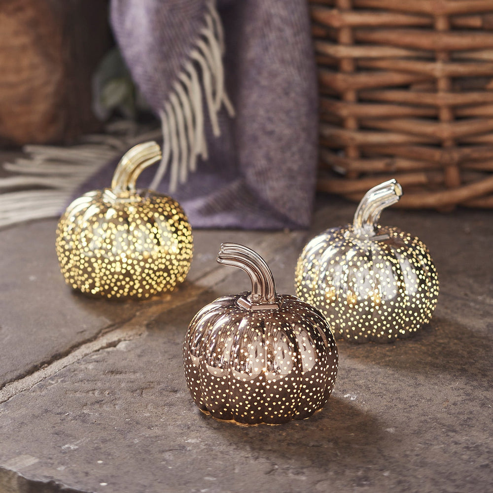 Mottled Mini Pumpkin Trio