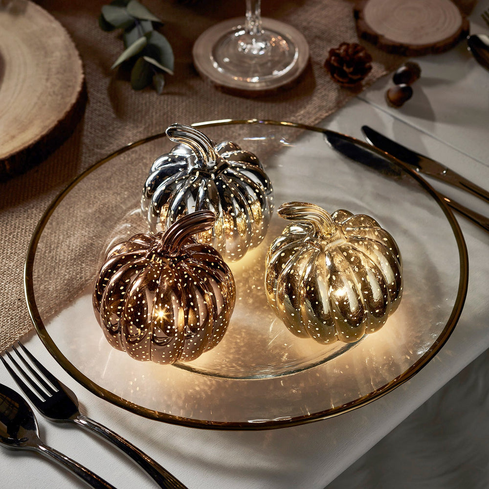 Mottled Mini Pumpkin Trio