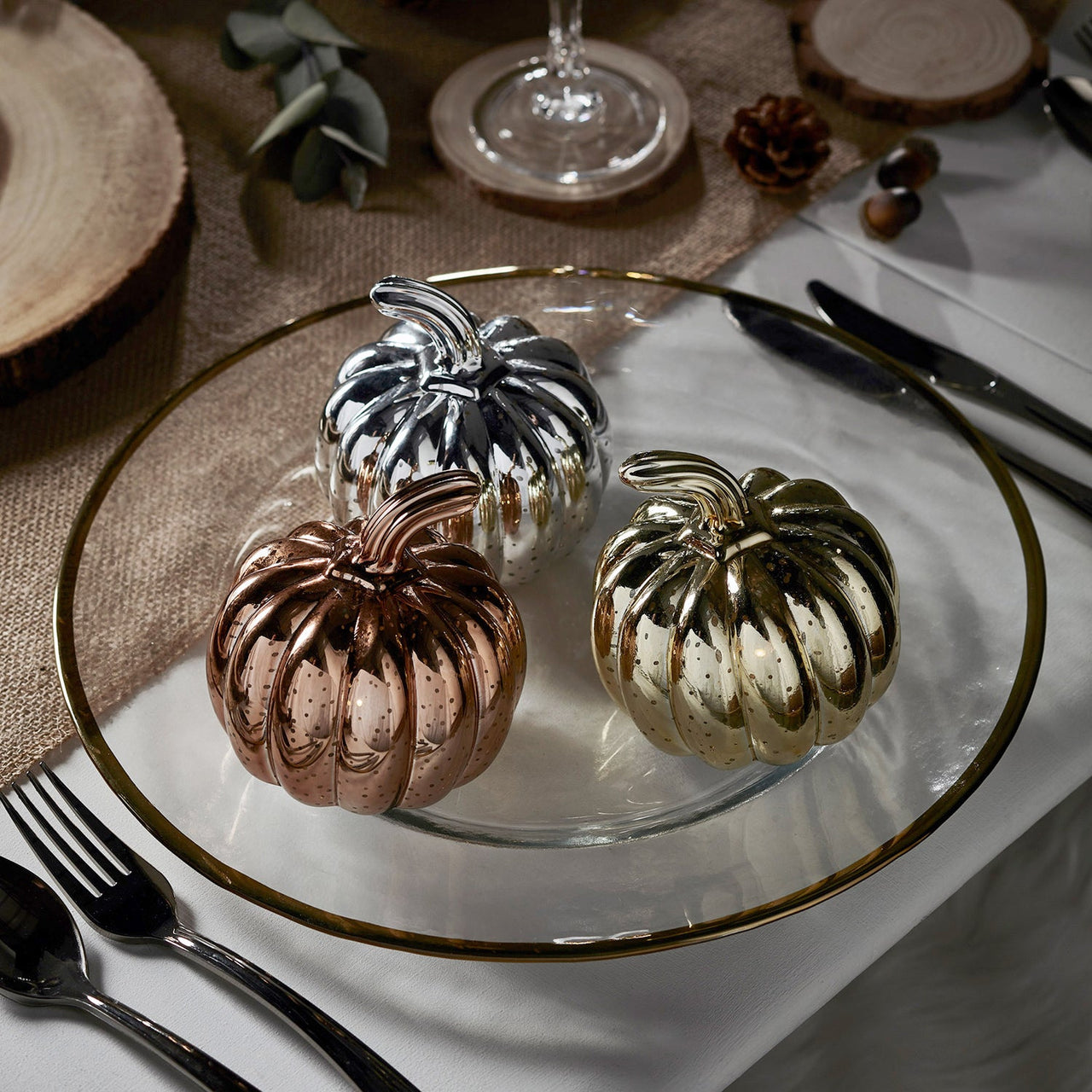 Mottled Mini Pumpkin Trio