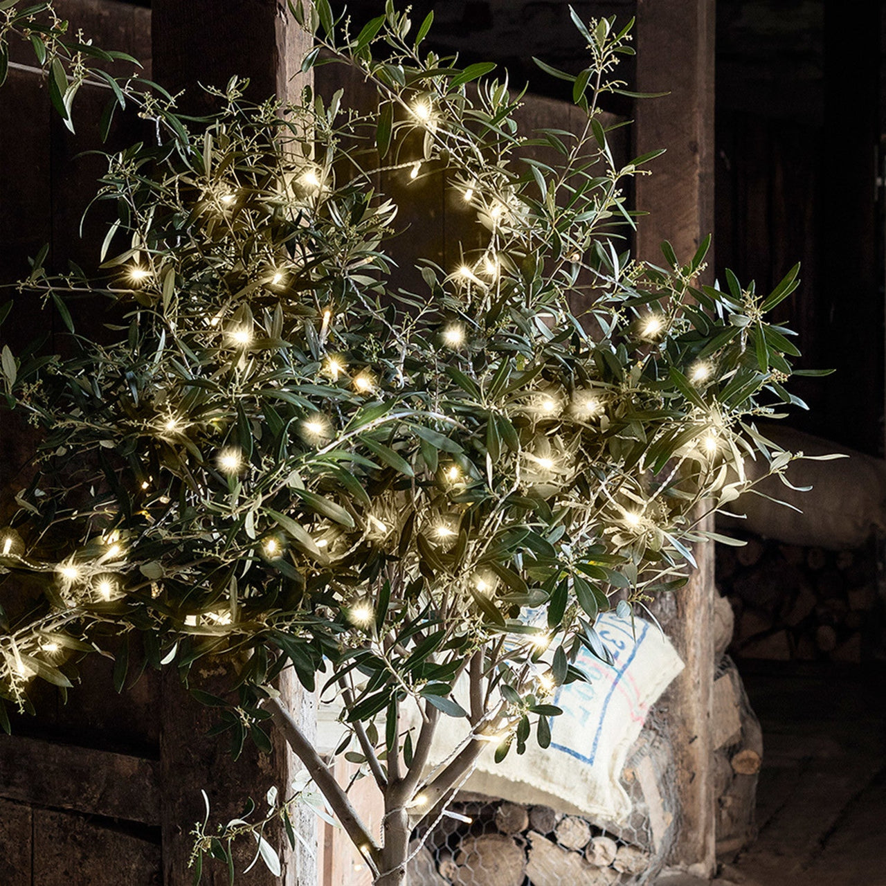 200 Warm White LED Outdoor Battery Fairy Lights On Clear Cable