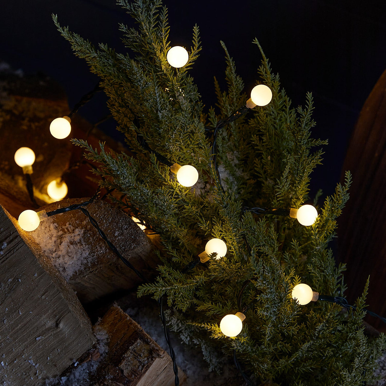 LL21074_50-Warm-White-Berry-Outdoor-Fairy-Lights.jpg