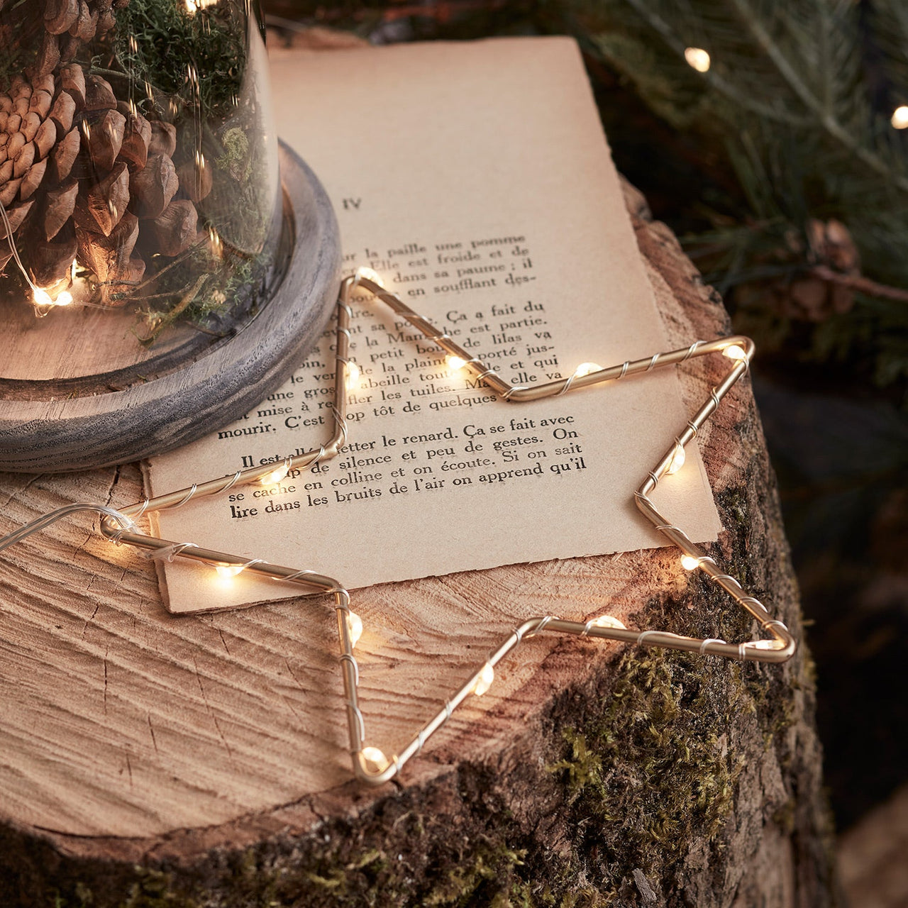 15cm Gold Osby Star Light Duo