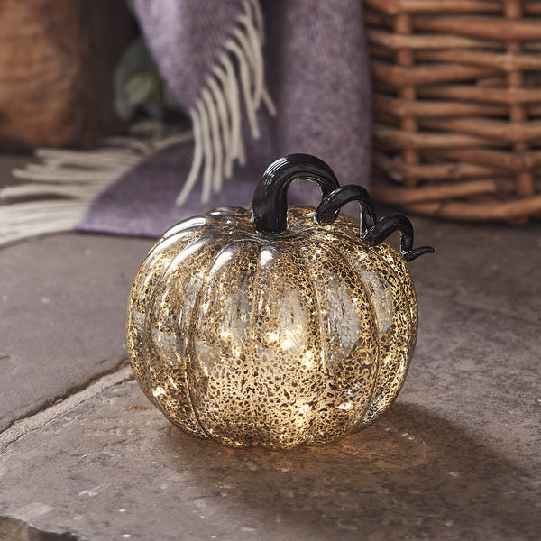 LL22063_Mercury-Black-Light-Up-Pumpkin-Decoration-Fireplace-On_600x600_1b2729b2-3678-4f57-8a31-41657be7fcd6.jpg